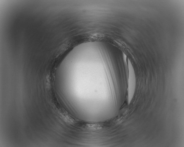 X0000071960520200608041622