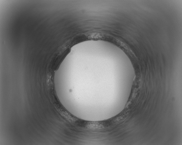 X0000071960521200608041622