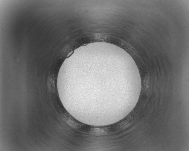 X0000071960522200608041622