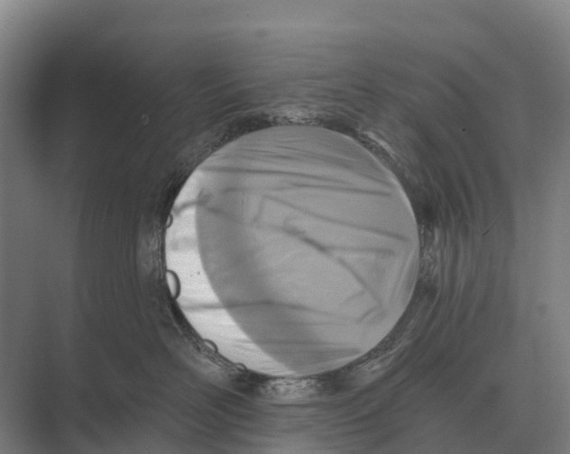 X0000071960526200608041622