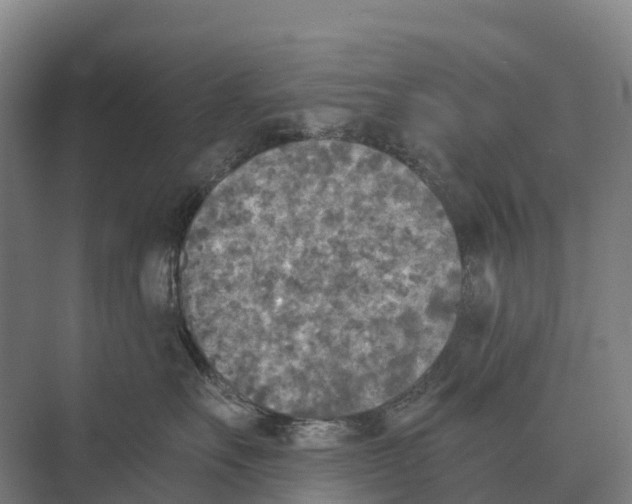 X0000071960527200608041622