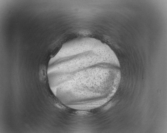 X0000071960528200608041622