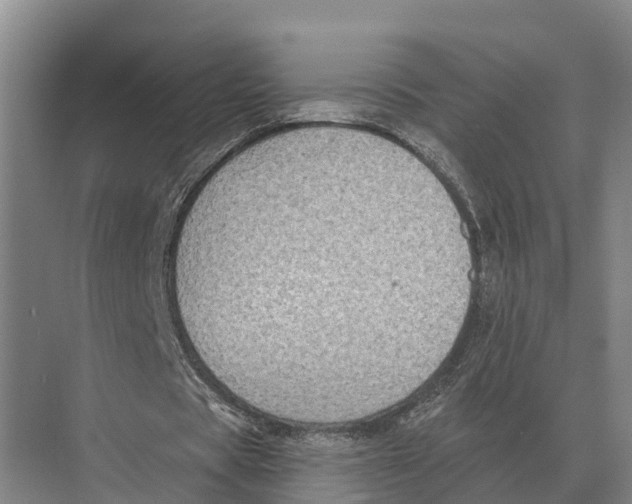 X0000071960529200608041621