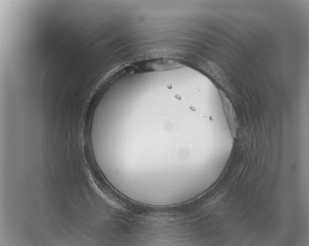 X0000071960530200608041621