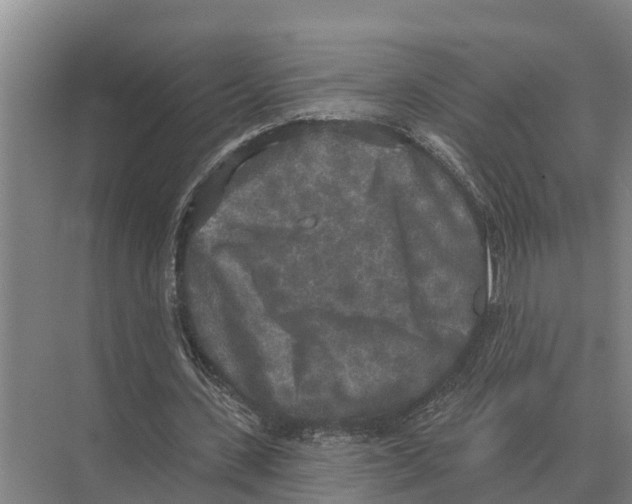 X0000071960531200608041621