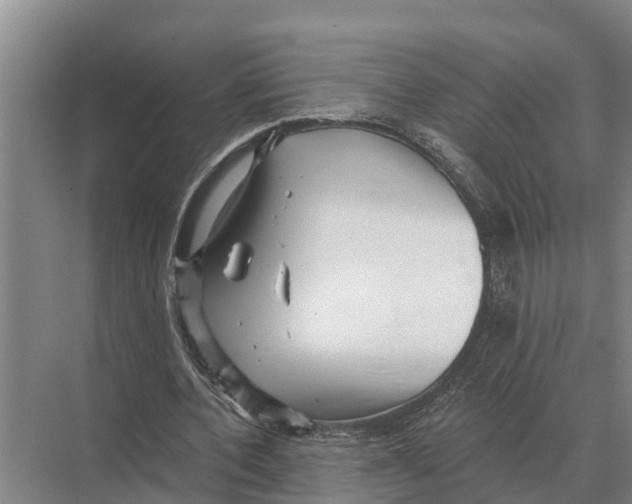 X0000071960532200608041621