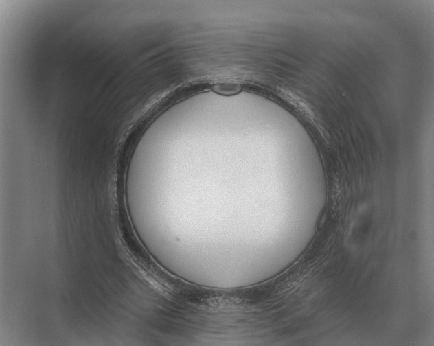 X0000071960535200608041622