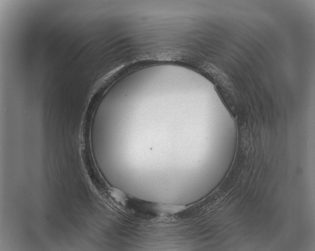 X0000071960536200608041622