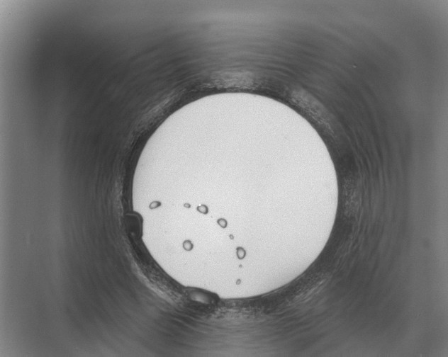 X0000071960538200608041622