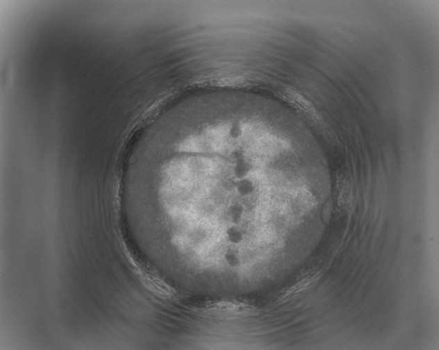 X0000071960542200608041622