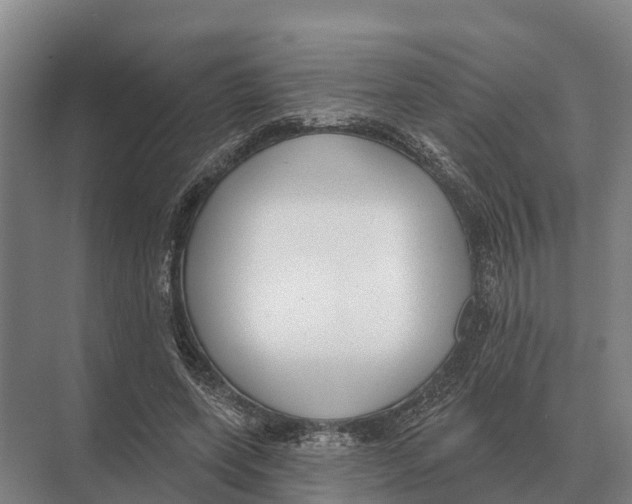 X0000071960543200608041622