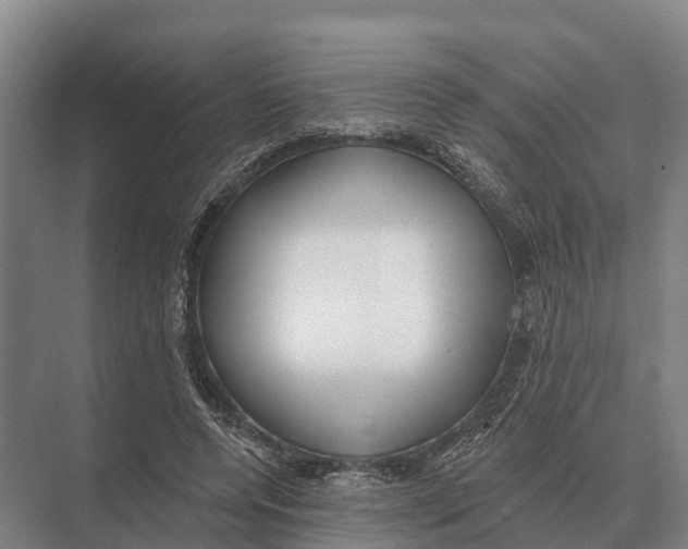 X0000071960544200608041622