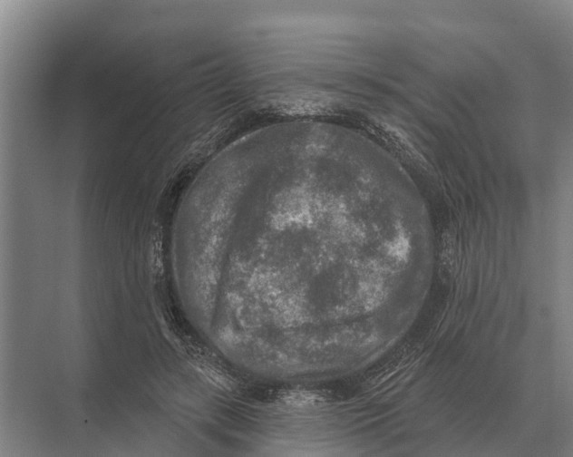 X0000071960547200608041622