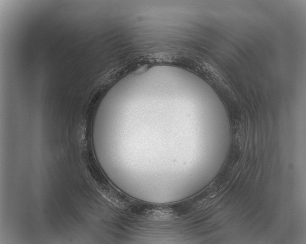 X0000071960548200608041622