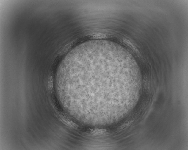 X0000071960549200608041622