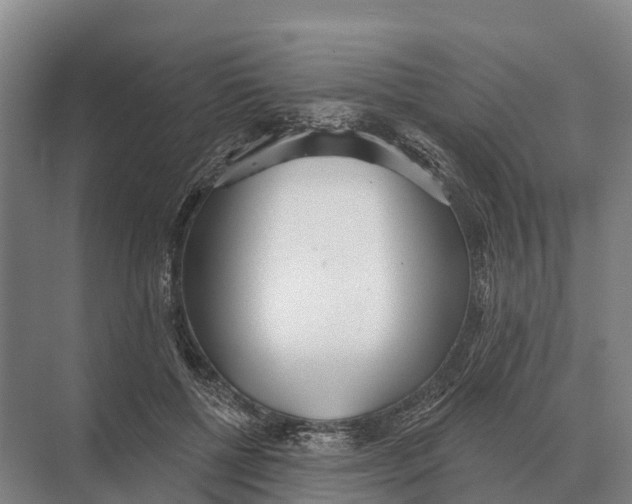 X0000071960552200608041622