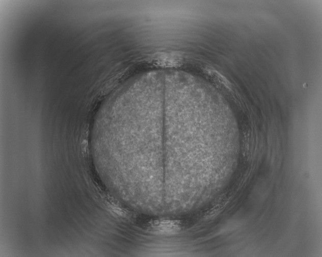 X0000071960553200608041622