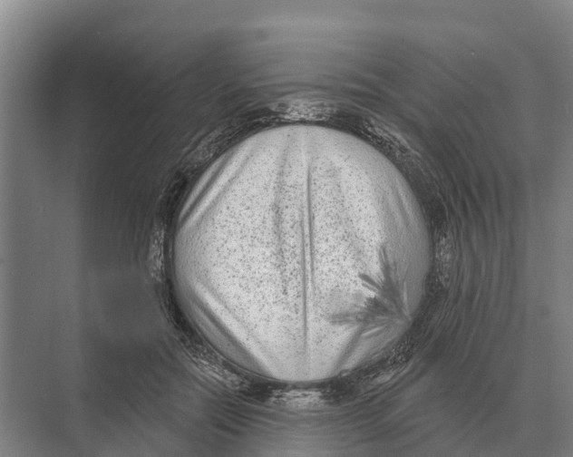 X0000071960554200608041622