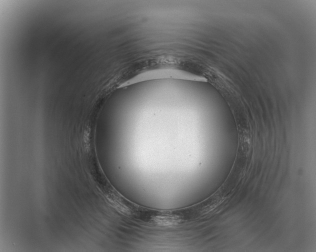 X0000071960556200608041622