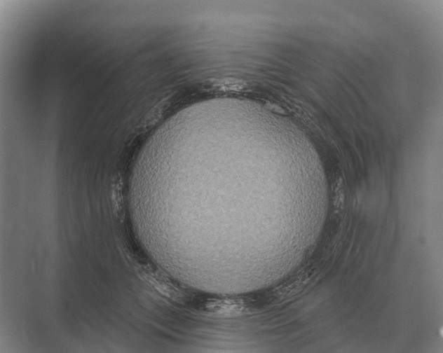 X0000071960559200608041622