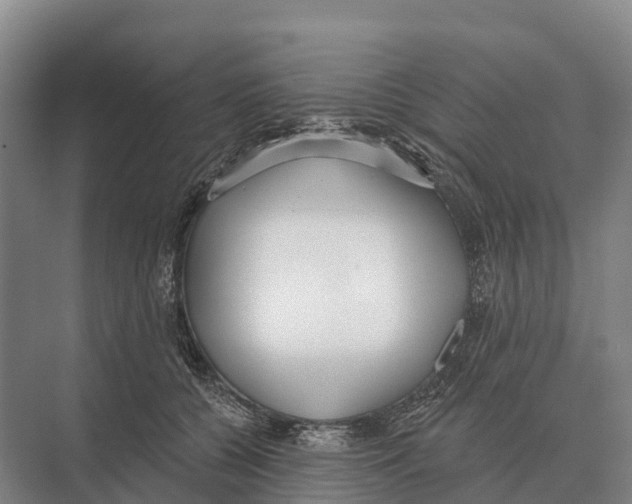 X0000071960560200608041622