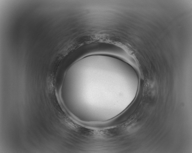 X0000071960566200608041622