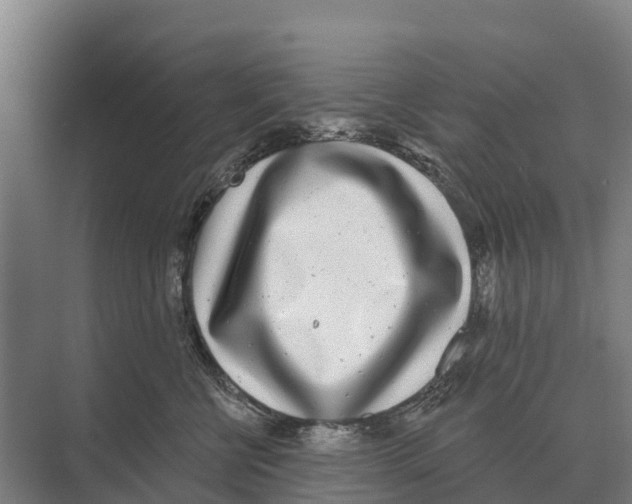 X0000071960570200608041622