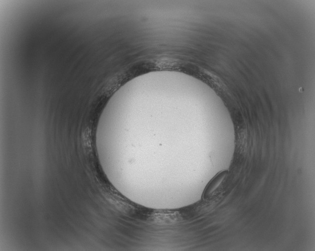 X0000071960571200608041622