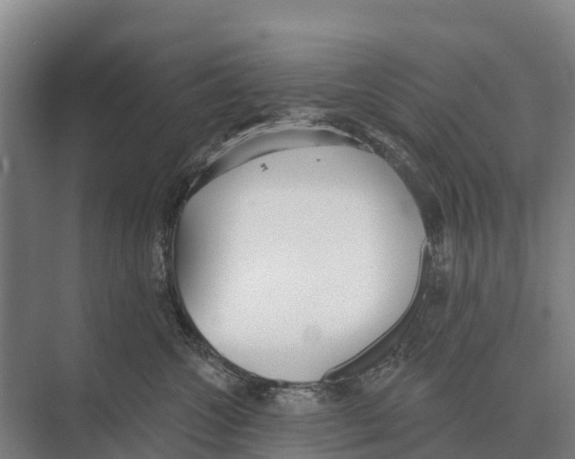 X0000071960572200608041622