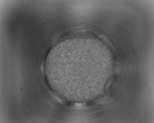 X0000071960573200608041622