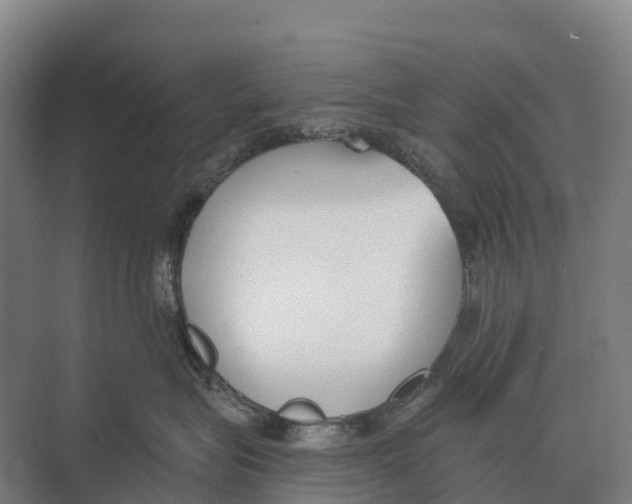 X0000071960575200608041622