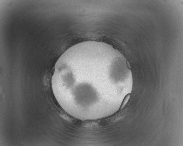 X0000071960576200608041622