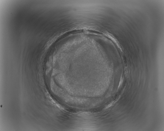 X0000071960577200608041621