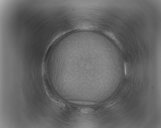 X0000071960579200608041621