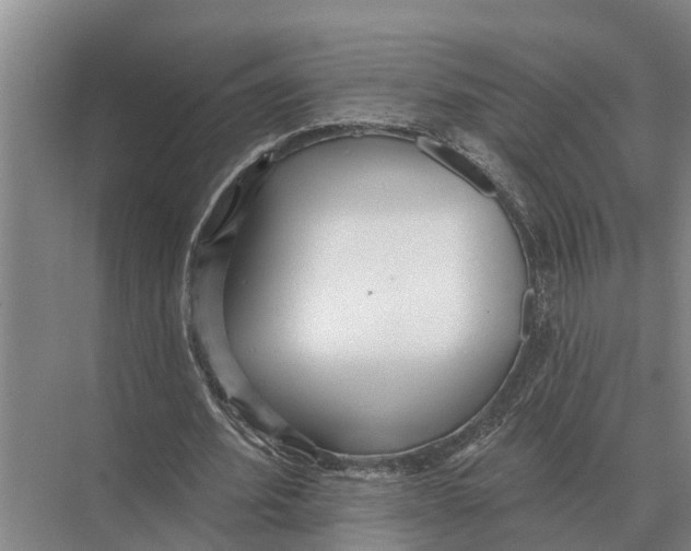 X0000071960580200608041621