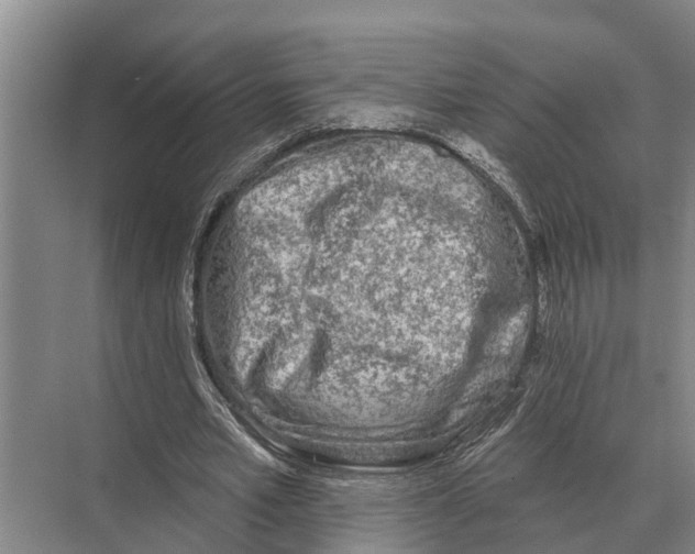 X0000071960581200608041621