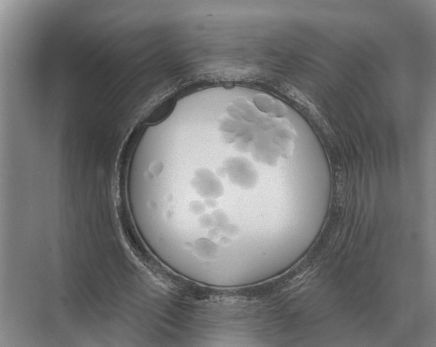 X0000071960582200608041621