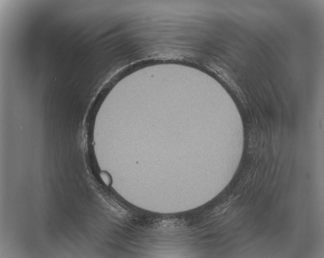 X0000071960584200608041621