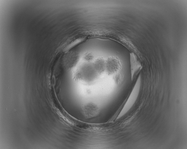 X0000071960585200608041621