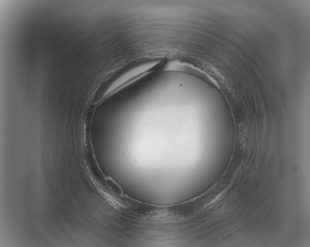 X0000071960589200608041621