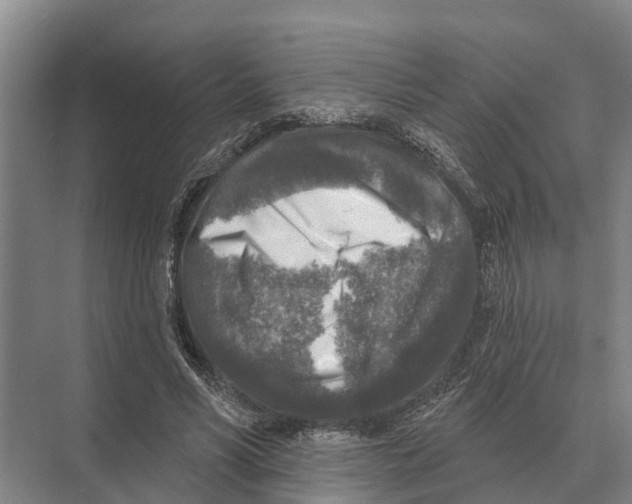 X0000071960590200608041621