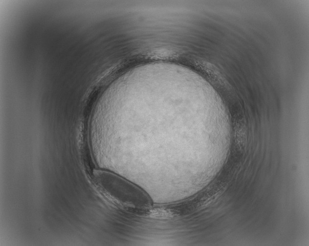 X0000071960591200608041621