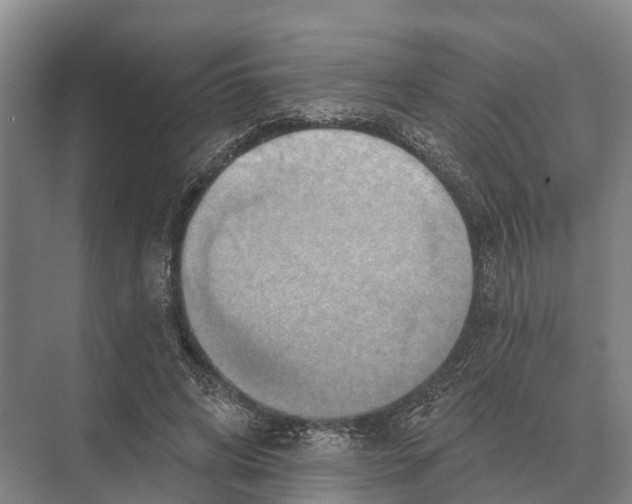 X0000071960592200608041621