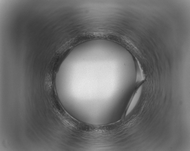 X0000071960593200608041621