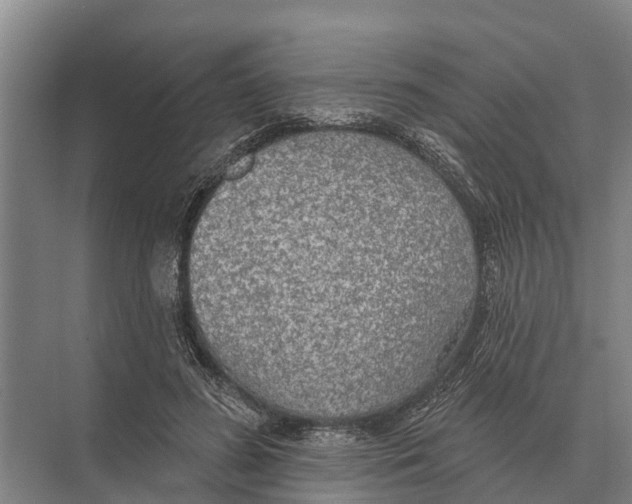 X0000071960596200608041621