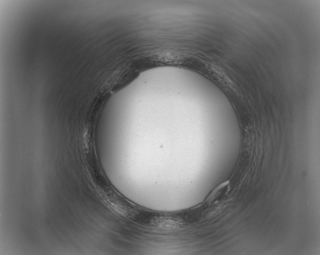 X0000071960597200608041621