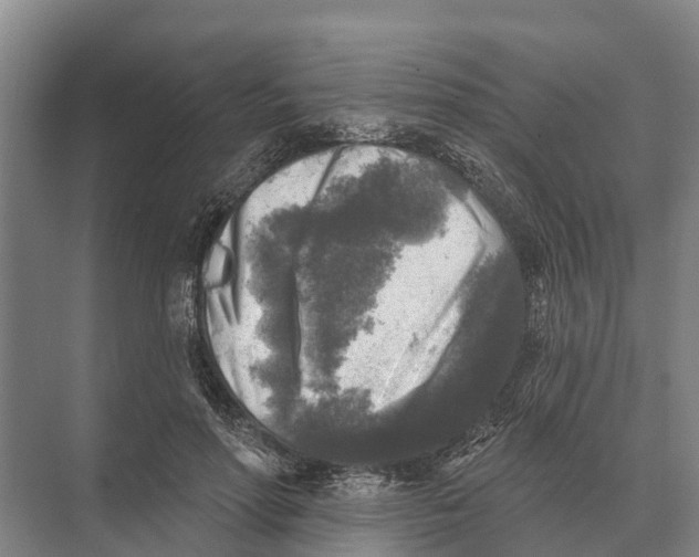 X0000071960598200608041621