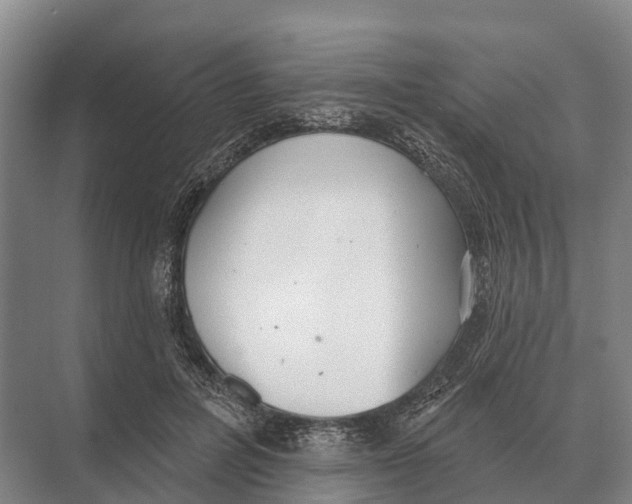 X0000071960600200608041621