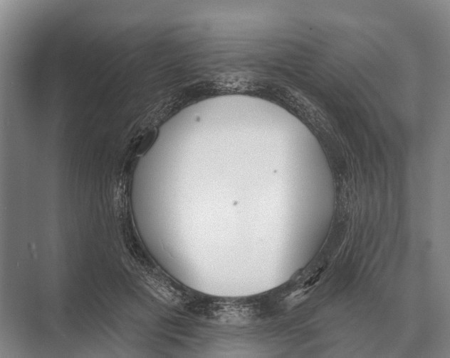 X0000071960601200608041621