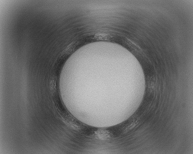 X0000071960603200608041621